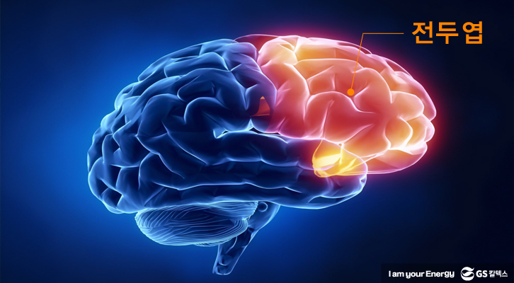 brain3 계획 기업소식, 매거진