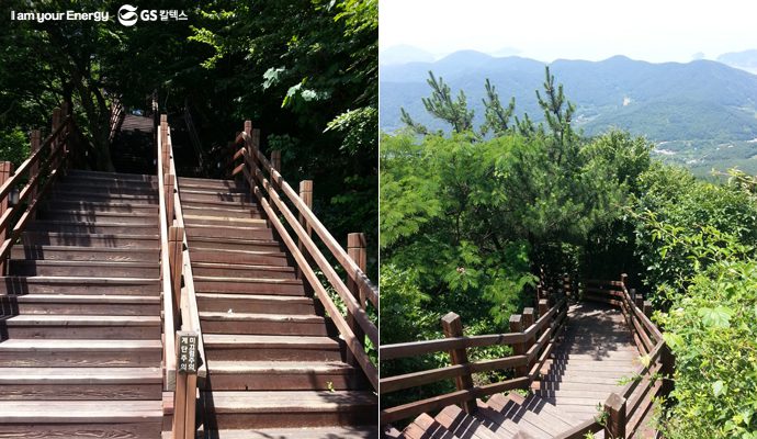 미륵산으로 향하는 등산로