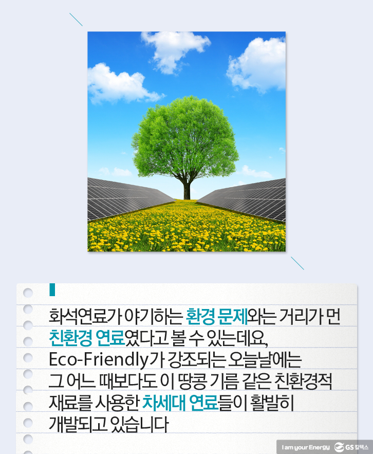 10 미래 에너지 에너지, 에너지칼럼