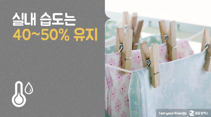 실내 습도는 40~50% 유지