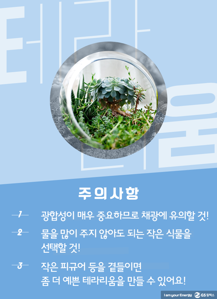 테라리움 주의사항