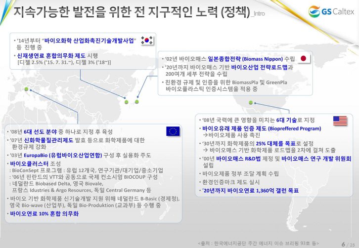 지속가능한 발전을 위한 전 지구적인 노력(정책)