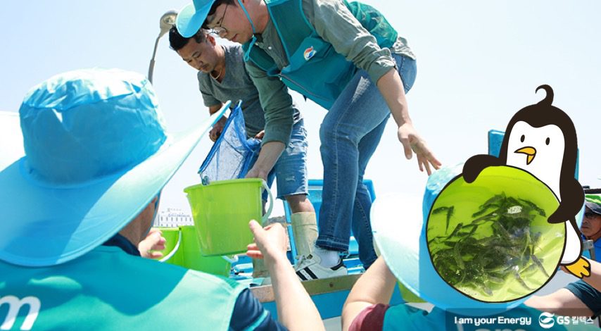 치어방류 작업 중인 자원봉사자들