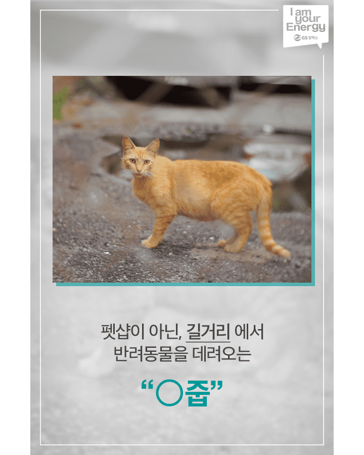 02 1 GScaltex 생활 속 에너지, 캠페인