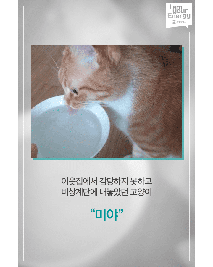 05 1 GScaltex 생활 속 에너지, 캠페인