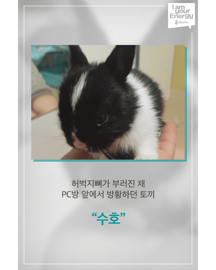 06 1 GScaltex 생활 속 에너지, 캠페인