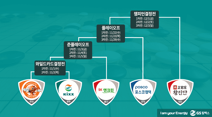 GS칼텍스, 한국바둑리그, Kixx팀, 프로바둑