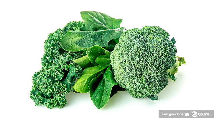 루테인이 풍부한 녹황색 채소