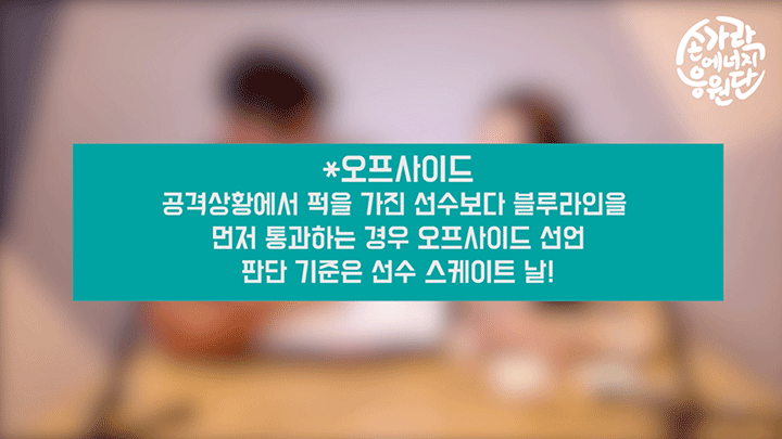 아이스하키 국가대표 경기, 관전포인트