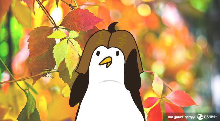 가을염색, 염색추천, 올가을 유행 예감 헤어컬러