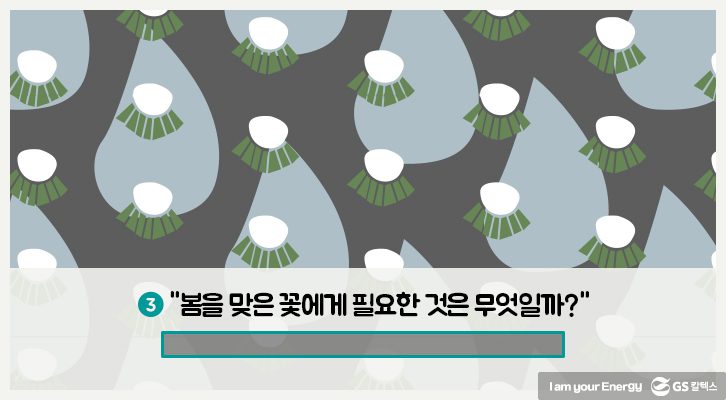 봄을 맞은 꽃에게 필요한 것은 무엇일까?