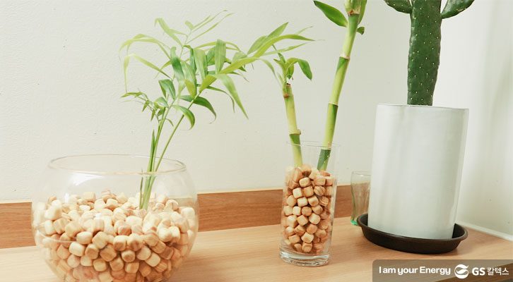 편백나무 가습기 만들기