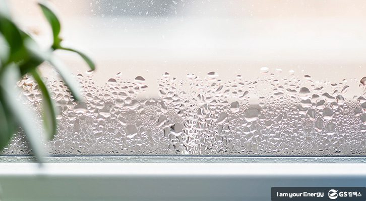 습기제거법_썸네일