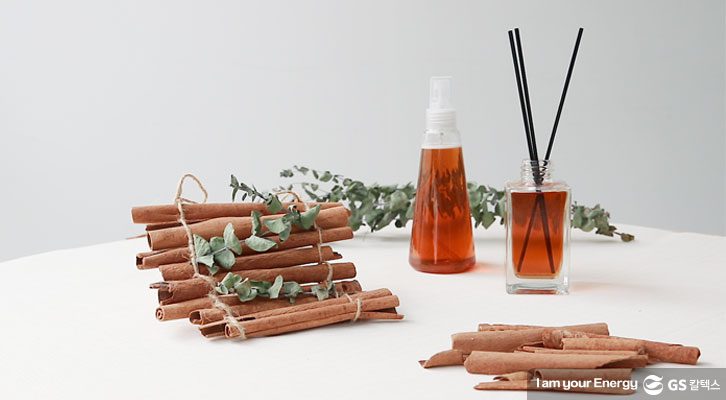 해충퇴치제_완성컷