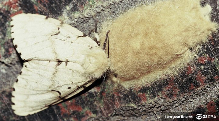 climate change and insects thumb 곤충 기업소식, 매거진