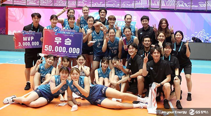 배구단관전포인트