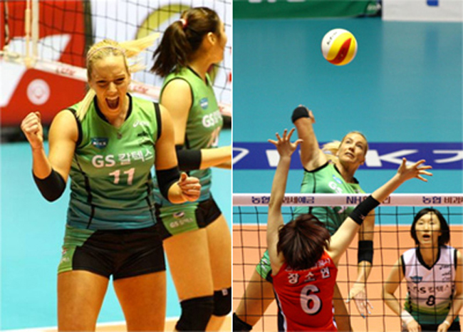 포포비치 선수의 활약상