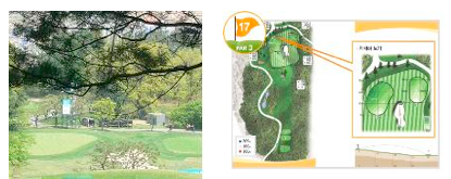 17번홀 필드설명