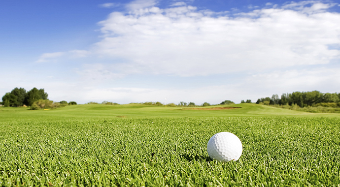 Golf 골프공과 필드