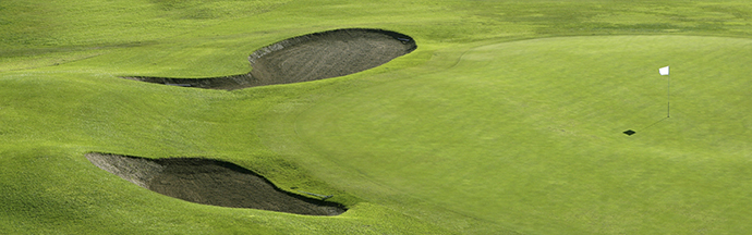 390361 골프장 필드