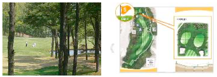 5번홀 필드설명