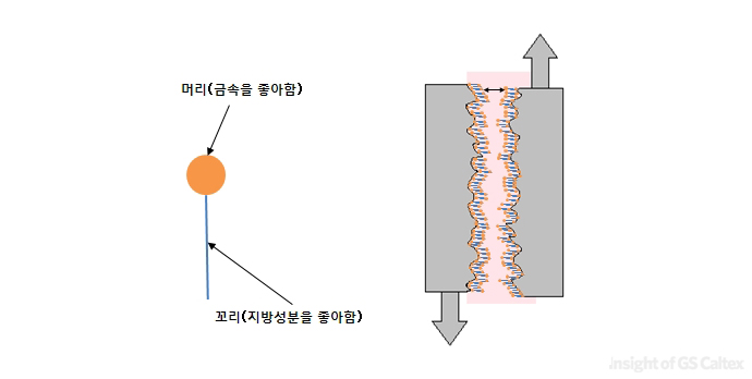 05 마찰저감제 분자구조의 모식도(좌측)과 실제 엔진내부에 적용되었을 때의 모식도(우측)