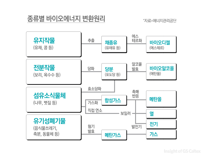 01 바이오에너지 변환원리를 표로 나타내 보았습니다.