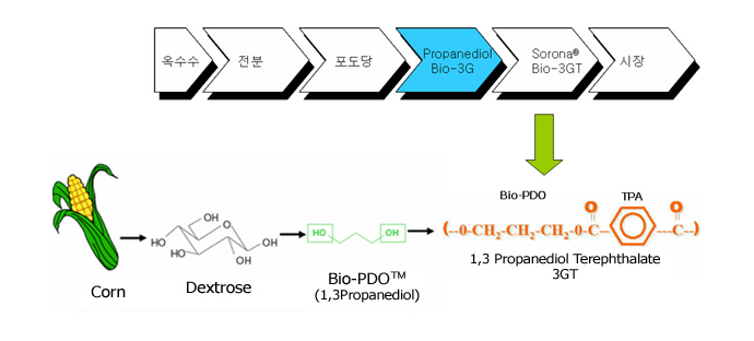 03 PPT 생산공정 / 출처: www.engpolymer.co.kr