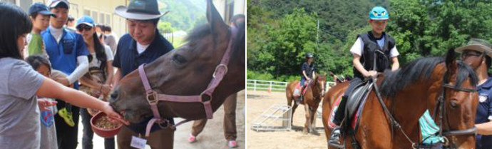 말 속리산국립공원에서 말도 타 볼 수 있는 시간이 있었습니다.