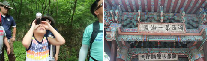 오리숲 숲 해설을 듣다 보니 어느새 5리에 달하는 오리숲도 금세 끝나고, 속리산 법주사에 도착하였습니다.