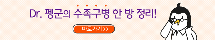 수족구병 수족구병 한방 정리